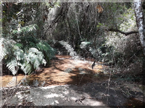 Imagem da Cachoeira do Capim em Nova Campina SP