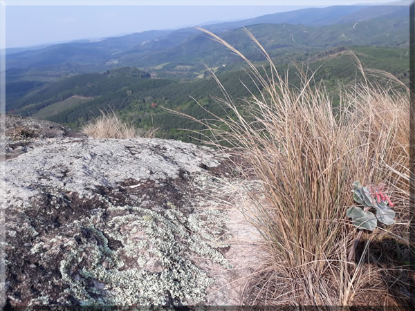 Imagem do Mirante das Torres em Nova Campina SP